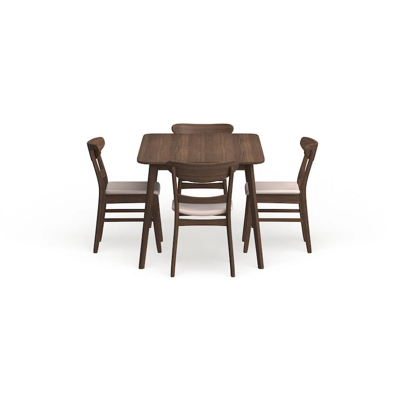 Mid-Century Modern 5 Piece Dining Set